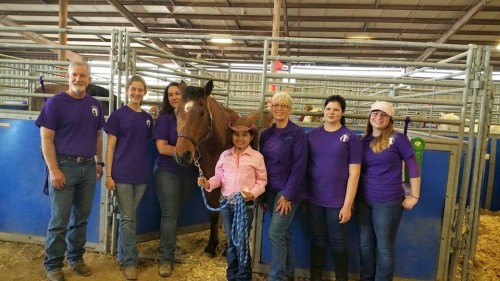 Horse_emplowered_Learning_program Horse_emplowered_Learning_program
