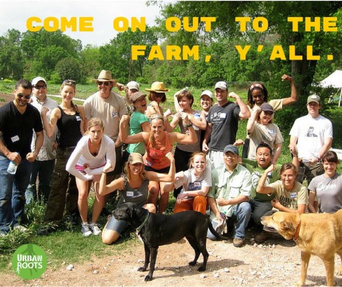 Urban_roots Urban_roots_team