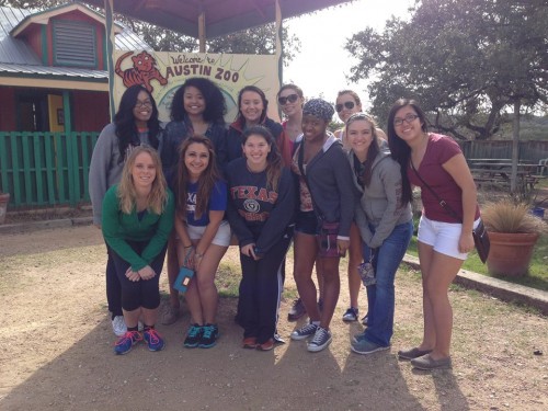Austin_zoo Austin_zoo