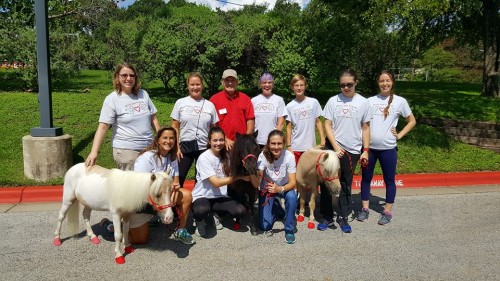 minis_and_friends_austin_team